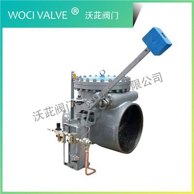 H664Y Extraction Check Valve