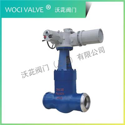 Z960Y Power Station Gate Valve