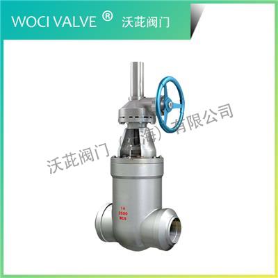 Z561Y Pound Power Station Gate Valve