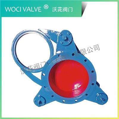 F343X Manual Blind Valve